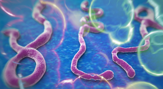 Ebola-gygyszer: lehet, hogy a beteg fogatlanul fog 120 vig lni, de letben marad
