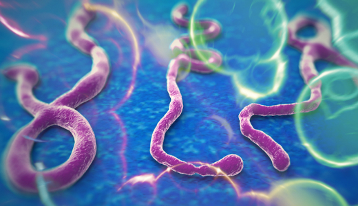 WHO: novemberre 20 ezernl tbb Ebola-fertztt lehet