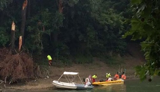 Rdlt egy fa egy fesztivlozra a Szigeten, meghalt