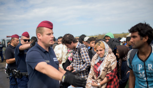 Migrnsok fogtak fegyvert magyar hatrrkre