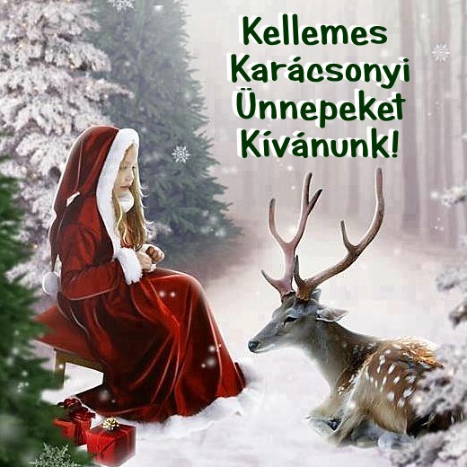 Kellemes Karcsonyi nnepeket Kvnunk!