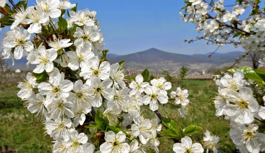 Visszat�r a tavasz