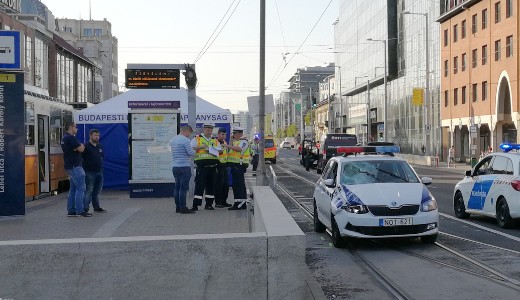 Hallra gzolt egy gyalogost a BKV zavarelhrt autja