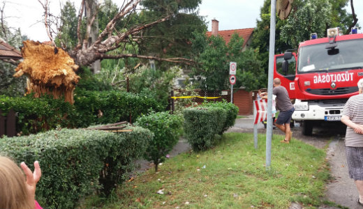Aut�kra d�ltek f�k, uszoda tet�szerkezet�t is megbontotta a vihar