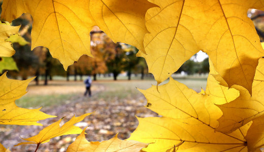 24 fokos nappali melegekkel �r v�get az okt�ber