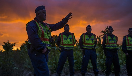 Szabolcsi rend�r�k az orsz�gos f�kapit�nynak: Igazat �r az Index a t�l�rabotr�nyr�l