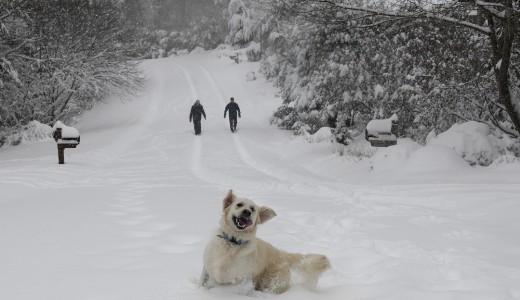 Viharos sz�llel j�n az �jabb h�