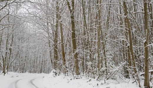 Figyelem, riaszt�st adott ki az OMSZ: m�g nincs v�ge a pokoli id�nek 