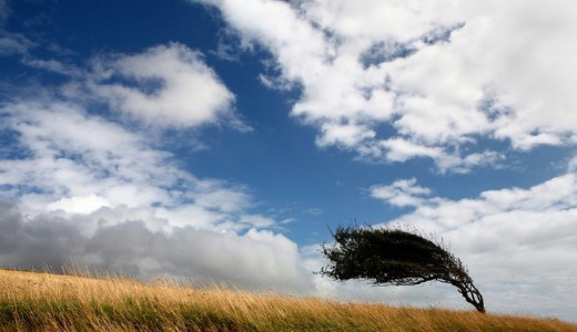 Holnap m�r 20 fok lehet, de van rossz h�r�nk is az id�j�r�ssal kapcsolatban: figyelmeztet�st adott ki az OMSZ 