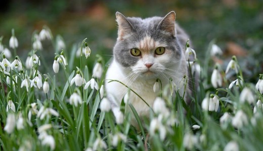 Lassan visszat�r az igazi tavasz