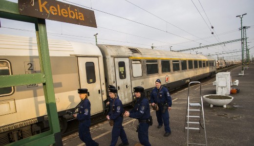 M�sz�ros�k nyert�k el a m�regdr�ga belgr�di vas�t�p�t�st