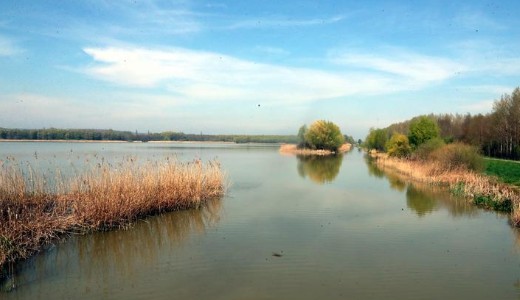 Komoly k�sz�lts�g a Balatonn�l: ez t�rt�nhet a k�vetkez�, kritikus 72 �r�ban 