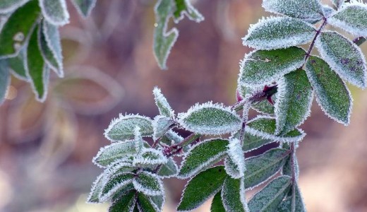 F�zik? Van egy rossz h�r�nk: m�g nincs v�ge, lesz ez durv�bb is – Fagy �s tov�bbi leh�l�s j�n 